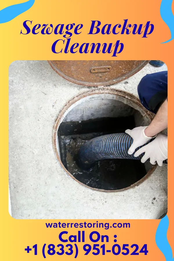 Sewage Backup Cleanup in Hardin, MO